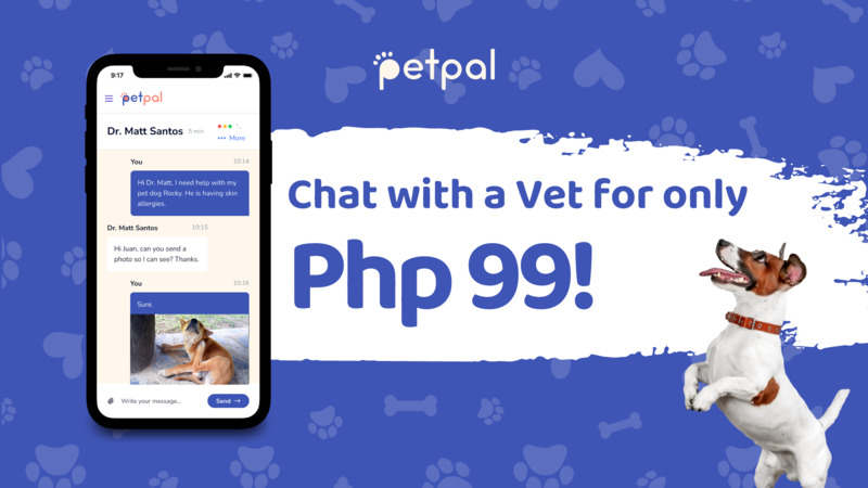 PetPal app interface and a dog with the text: Chat with a Vet for only Php 99.