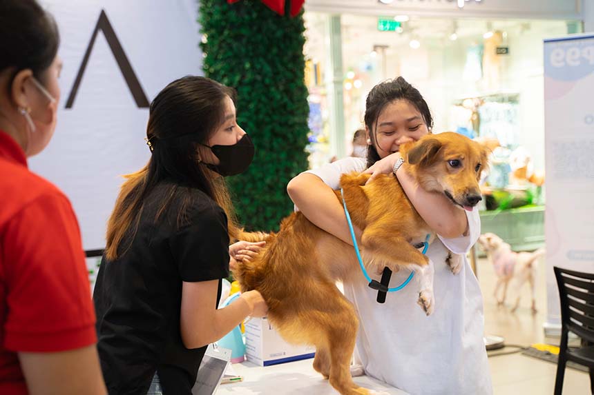 Vaccination Drive in Metro Manila