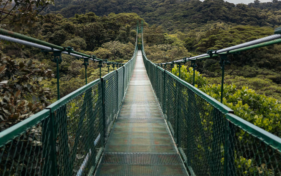Hanging bridge at Monteverde Cloud Forest Reserve, Costa Rica.