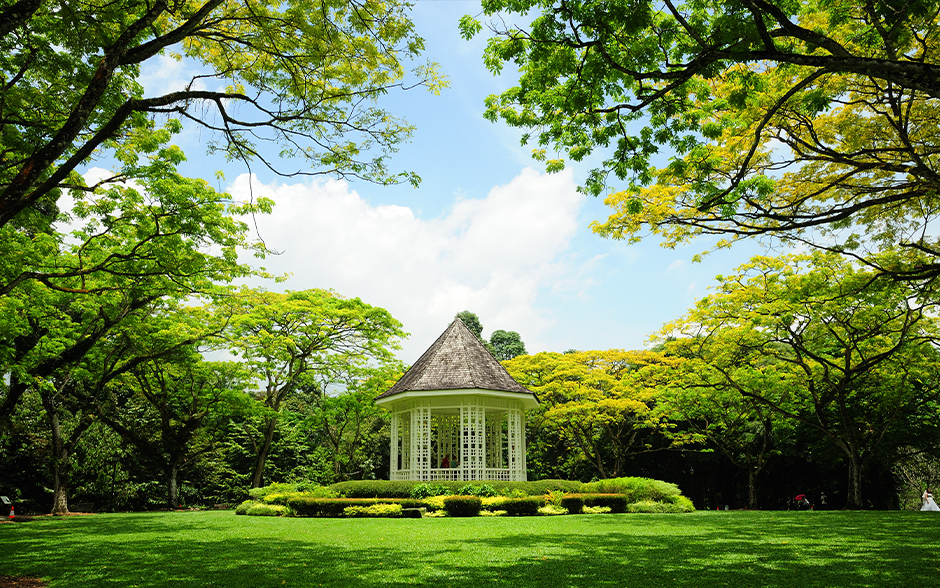 Singapore Botanic Gardens.
