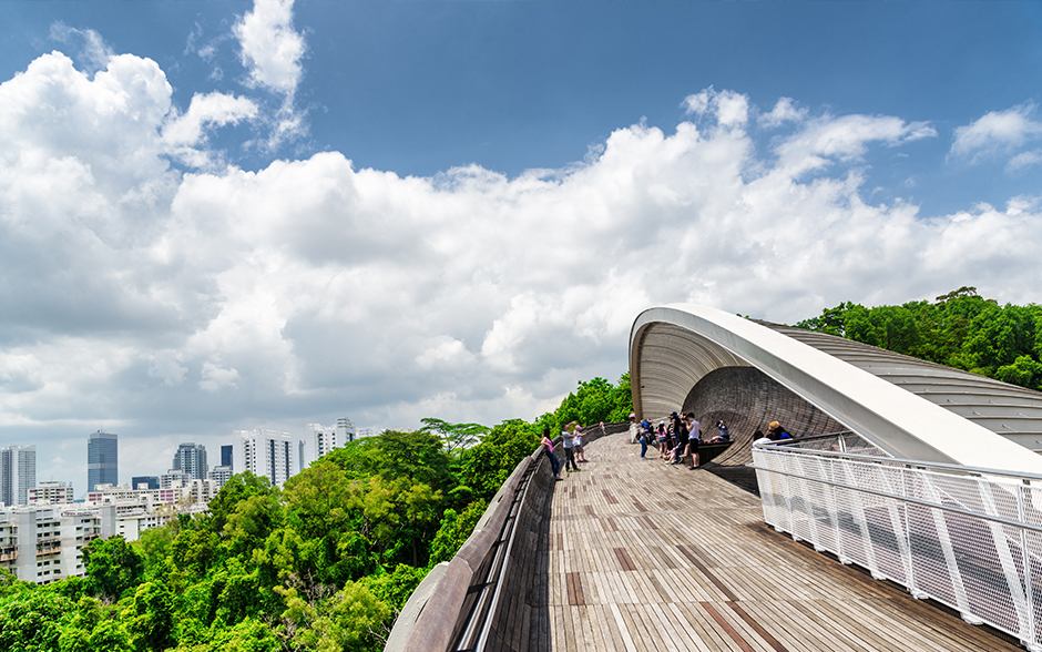 Henderson Waves at Southern Ridges.