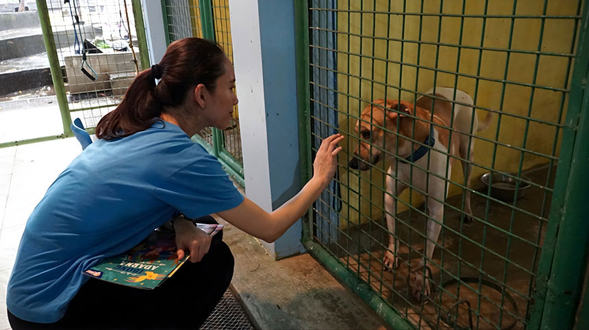 Reading books to dogs during Volunteer Day at the PAWS Shelter in Katipunan, Quezon City.