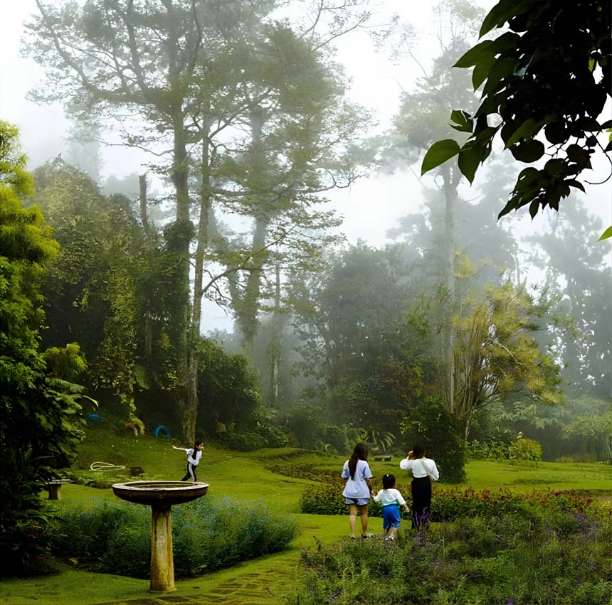 A misty garden scene with tall trees and three people walking, surrounded by greenery and a birdbath.