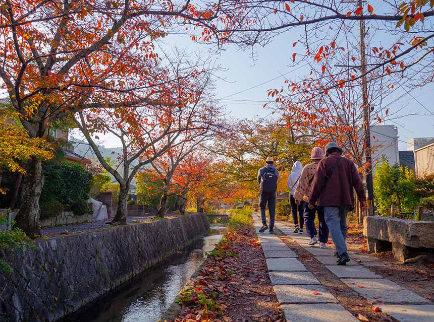 People walking along Kyotoâs Philosopherâs Path under trees with vibrant fall leaves in the soft morning light.