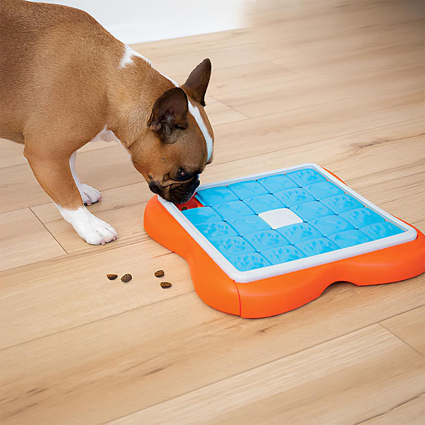 Dog using a Nina Ottosson Challenge Slider puzzle feeder on a wooden floor.