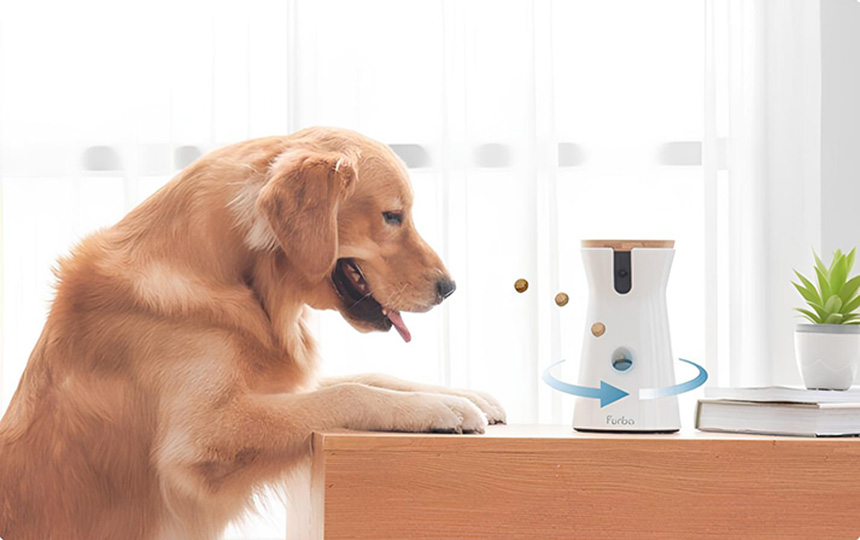 Dog watching a Furbo 360Â° pet camera with treat dispenser on a table.