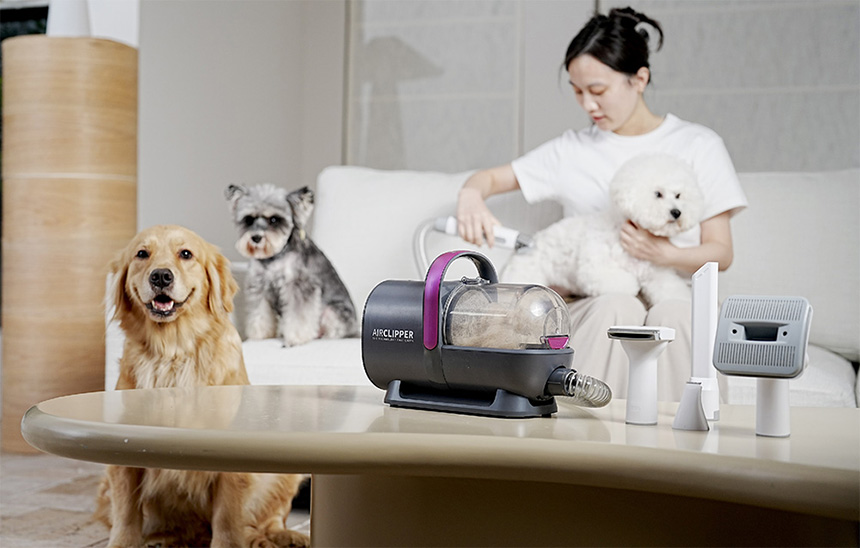 Pet owner grooming dogs at home using a vacuum-assisted pet grooming tool.