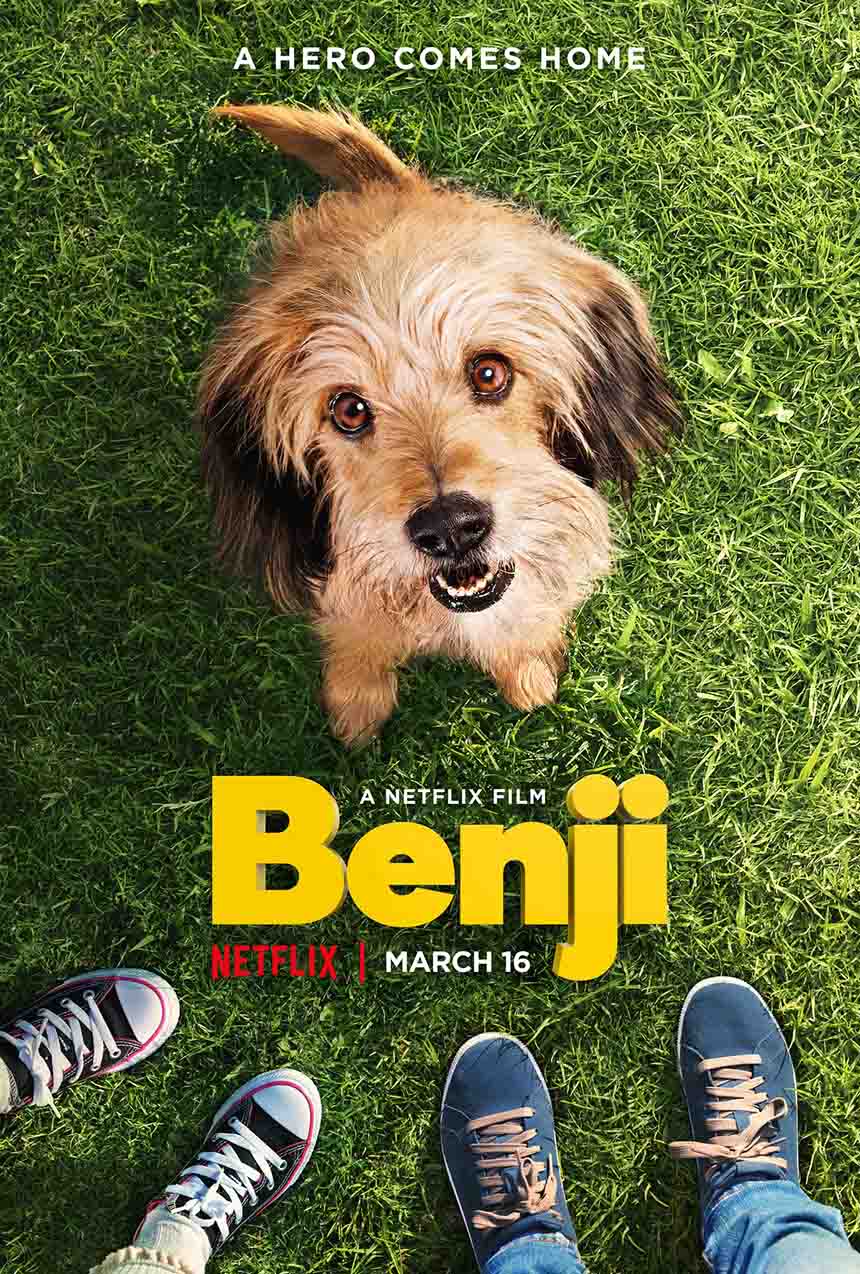 Official Benji movie poster featuring a small dog looking up from the grass.