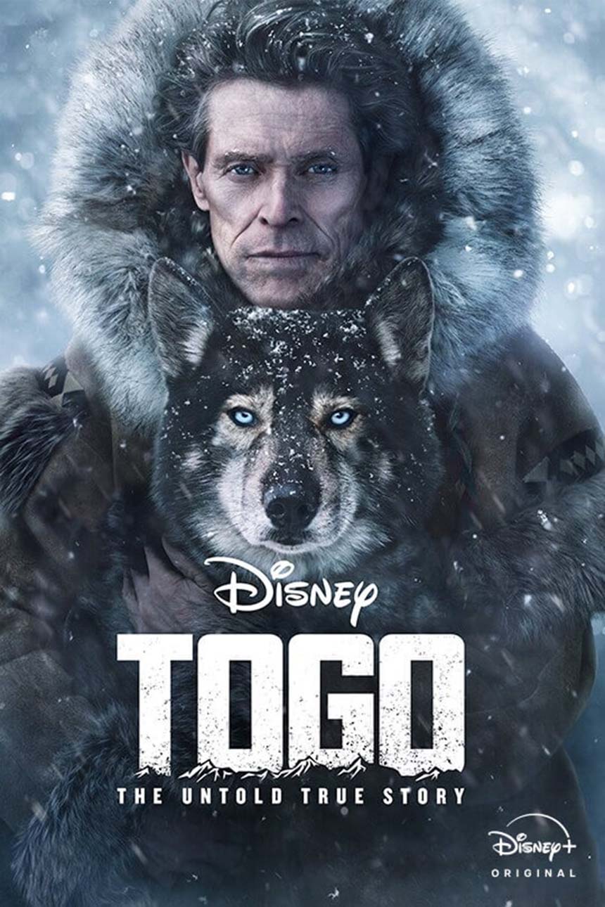 Official Togo poster.