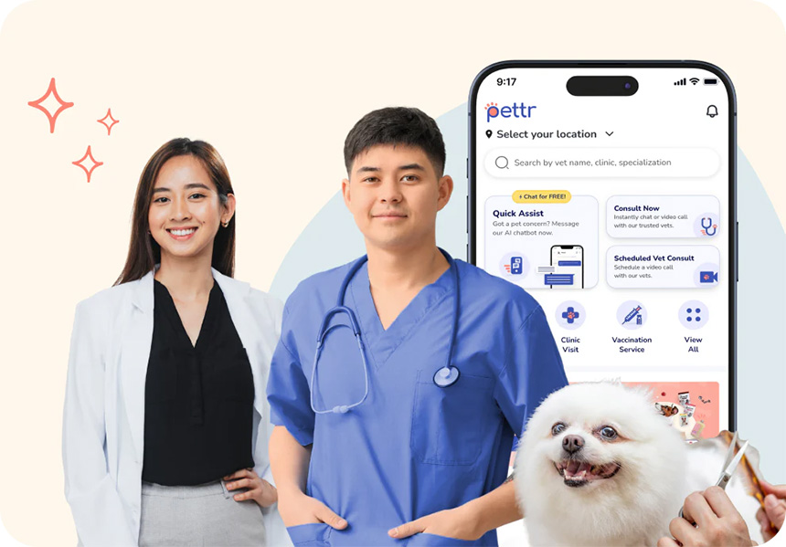 Veterinarians and a happy dog featured alongside the Pettr app interface showing AI assist and vet services.