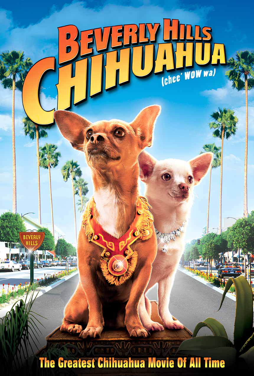 Official Beverly Hills Chihuahua movie poster featuring two chihuahuas in Beverly Hills.