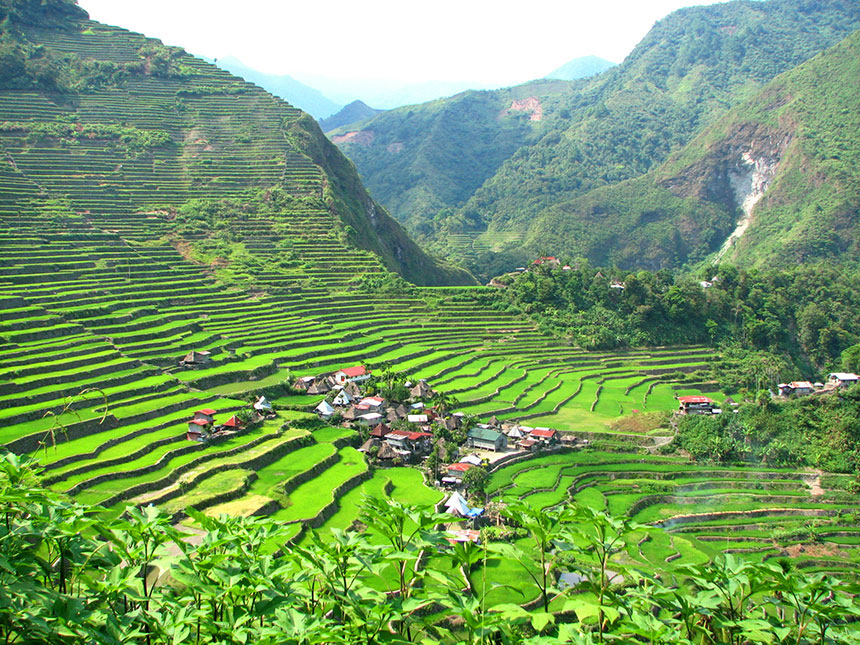 Photo of Batad village and rice terraces.