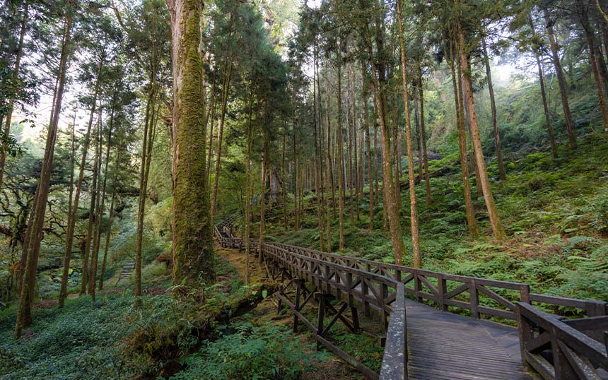 Alishan National Forest Park in Taiwan.