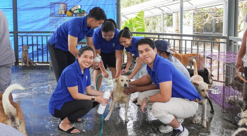 917Ventures employees bathing a dog at Biyaya Animal Sanctuary.