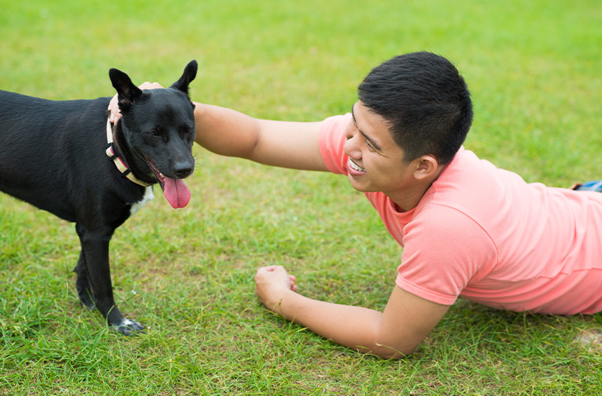 Pet owner playing with a happy dog outdoors on a grassy field.