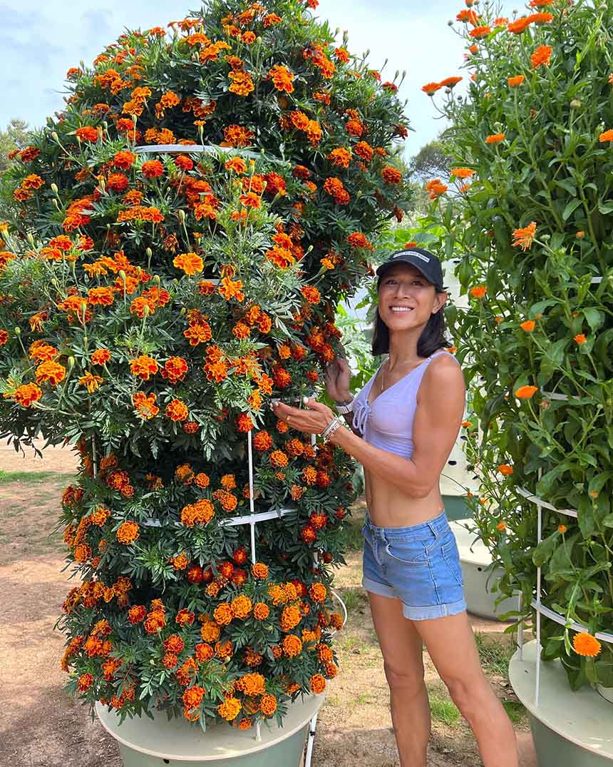 Angie Mead King with a vertical marigold garden.