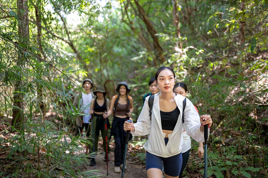 A group of hikers walking through a lush green forest, enjoying the greenery around them.