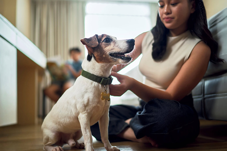 A dog and its owner sitting comfortably on the polished wooden floor.