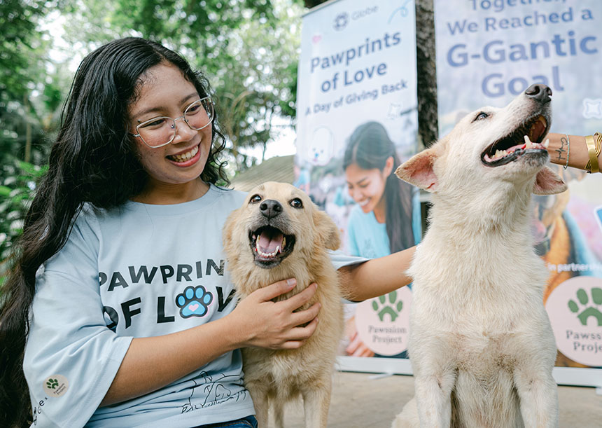 A compassionate volunteer bonding with shelter dogs.