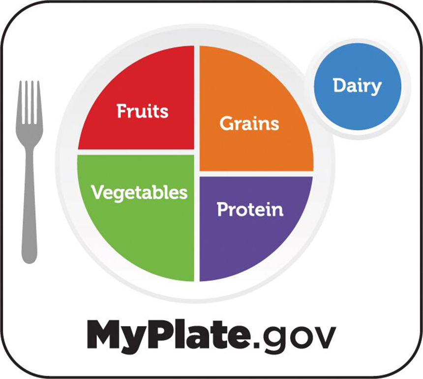 MyPlate visual guide.
