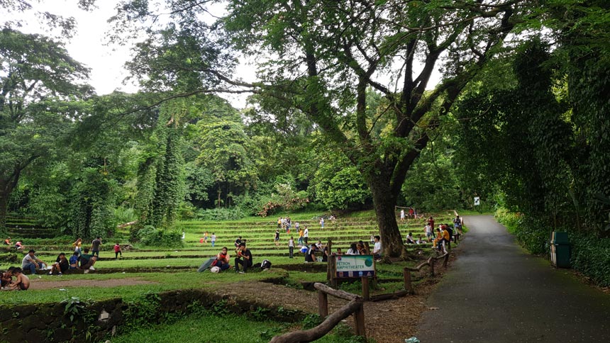 People sitting in a park with shrubs, grass, and trees.
