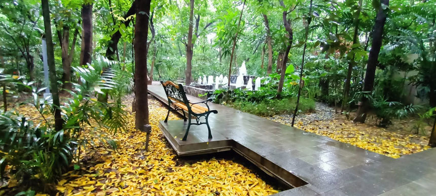 A park bench on a boardwalk surrounded by trees and fallen leaves.