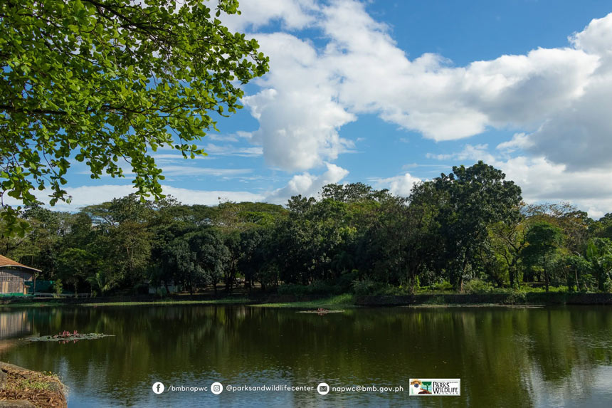 A lagoon surrounded by trees.