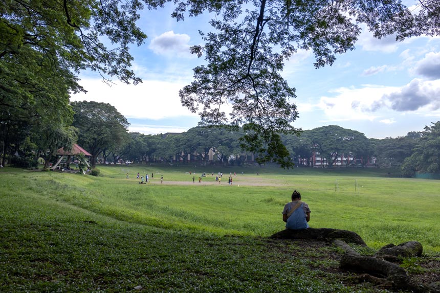 Woman sitting on an exposed tree root looking at a field of grass.