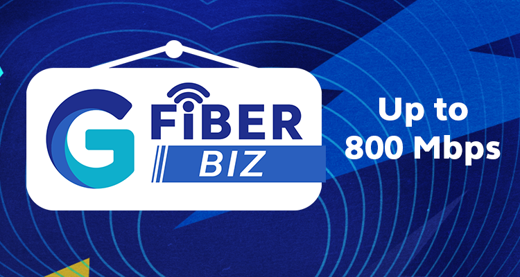 Gfiber Biz